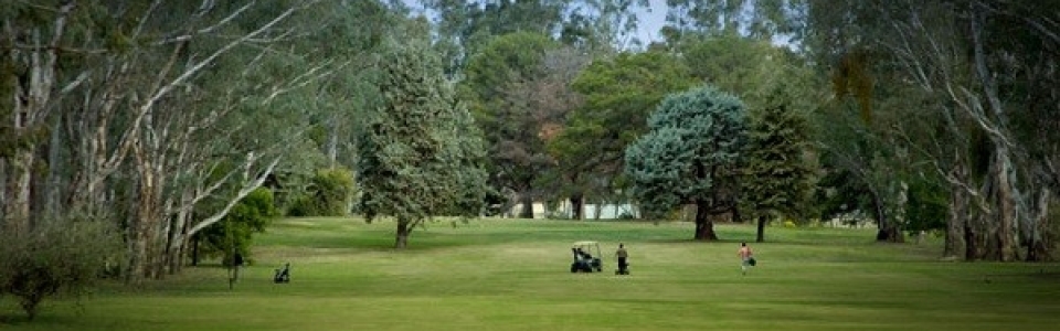 5-cohuna-golf-course