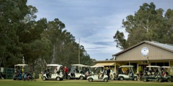 cohuna-club-golf
