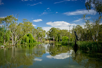 Gunbower Creek in the Murray River region in Northern Victoria.