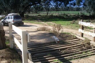 Gunbower Island Forest Drive Forest drive in close proximity to the Cohuna Golf Course.
