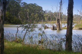 Gunbower Island The Cohuna Golf Course is situated on Gunbower Island.