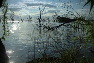 Kow Swamp A unique attraction in close proximity to the Cohuna Golf Course.